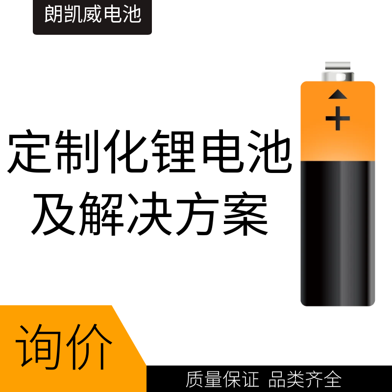 定制化鋰電池及解決方案